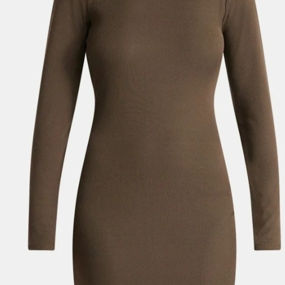 Elegant Brown Long Sleeve Dress